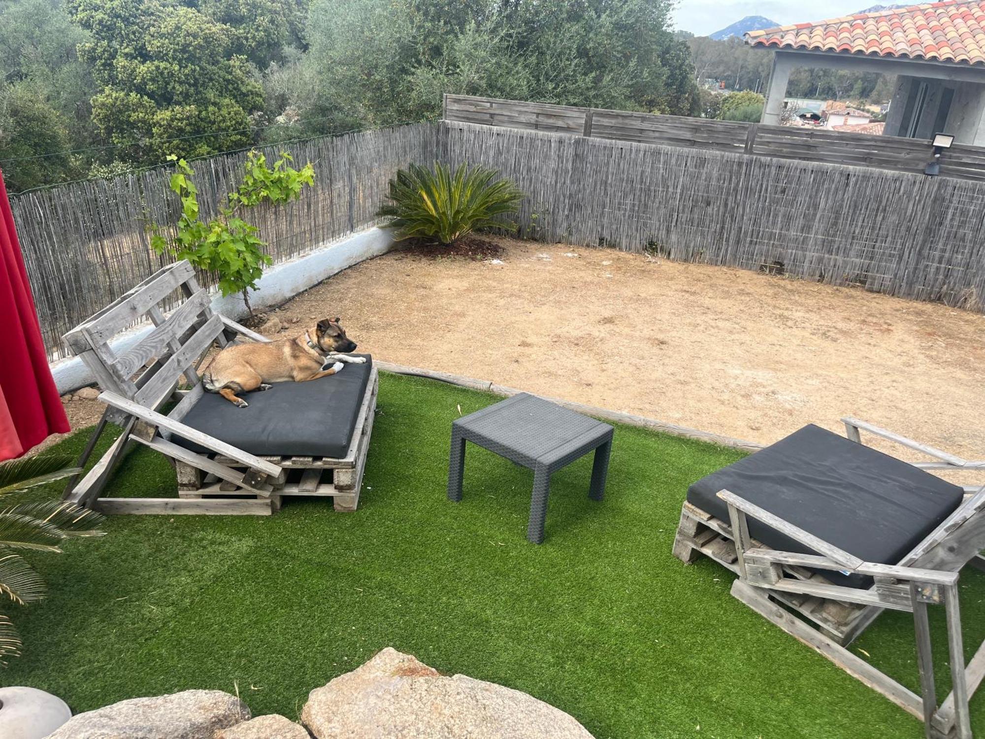 Villa Orethaga Piscine 10 Pers Porto Vecchio Kültér fotó