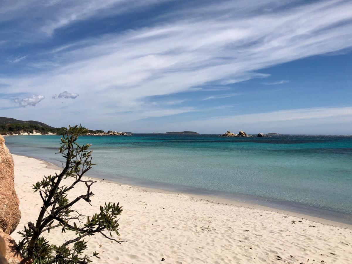 Villa Orethaga Piscine 10 Pers Porto Vecchio Kültér fotó